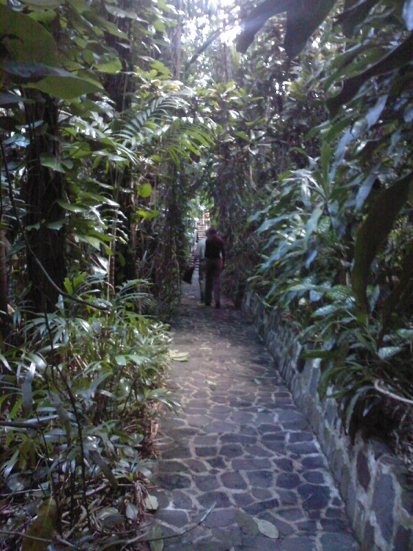 gal/Ile Maurice/SP_A0226_Reserve_des_Mascareignes.jpg